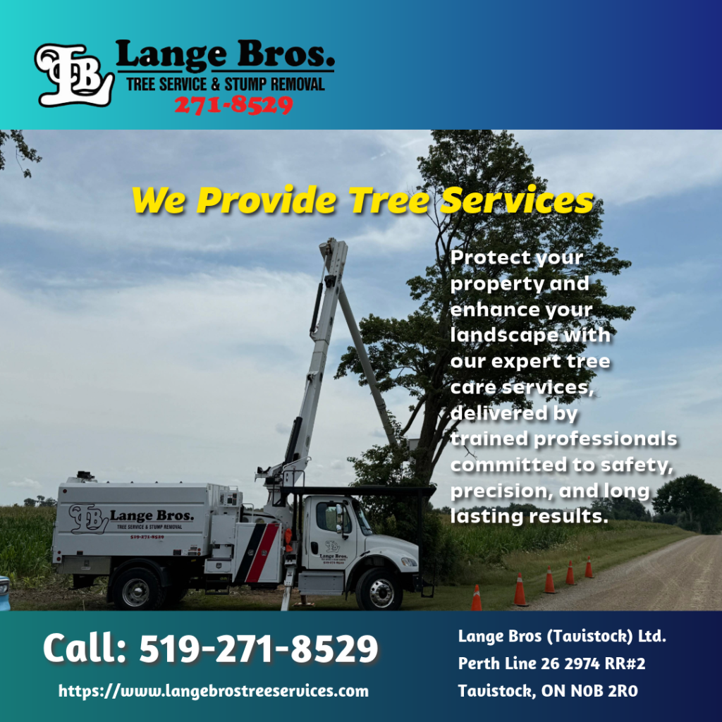 Learn how professional tree removal protects your property, prevents hazards, and supports a healthier landscape. Expert insights inspired by Lange Bros Tree Services.