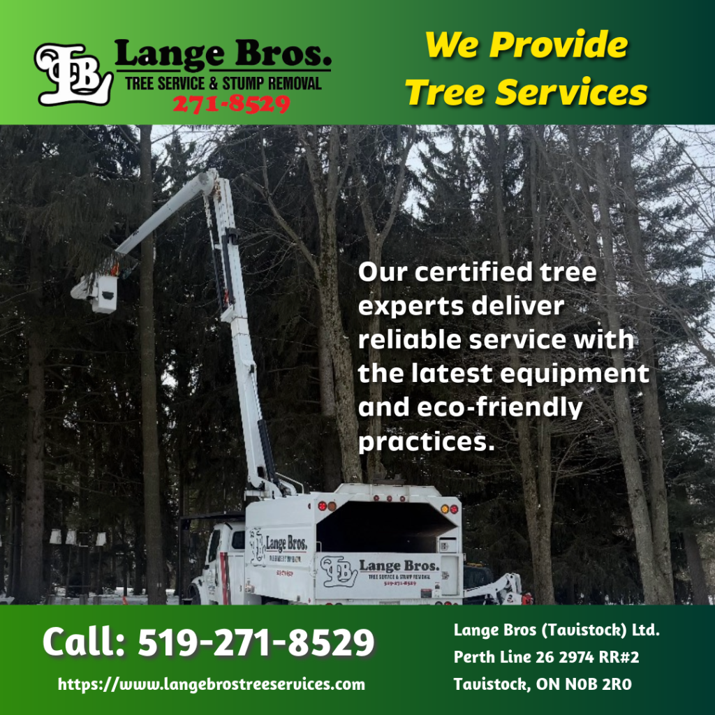 Prepare your property for spring with expert seasonal tree care tips that boost health, safety, and long-term growth.
